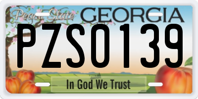 GA license plate PZS0139