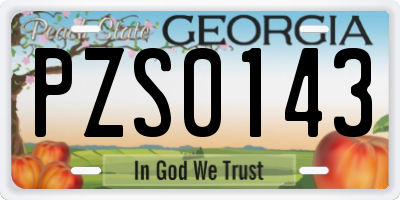GA license plate PZS0143