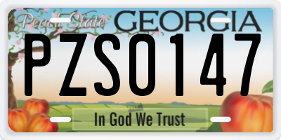 GA license plate PZS0147
