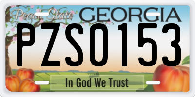 GA license plate PZS0153