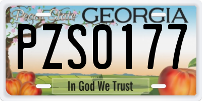 GA license plate PZS0177