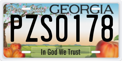 GA license plate PZS0178