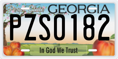 GA license plate PZS0182