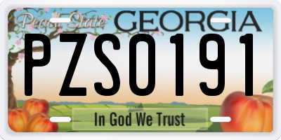 GA license plate PZS0191