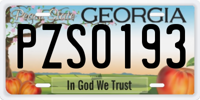 GA license plate PZS0193