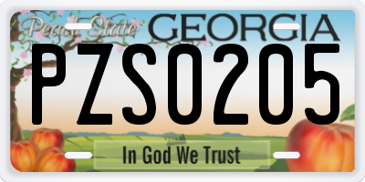 GA license plate PZS0205