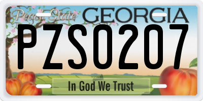 GA license plate PZS0207