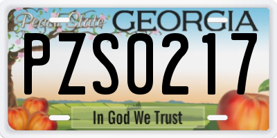 GA license plate PZS0217