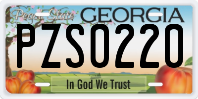 GA license plate PZS0220