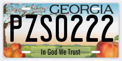 GA license plate PZS0222