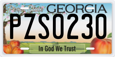 GA license plate PZS0230