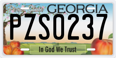 GA license plate PZS0237