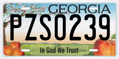 GA license plate PZS0239