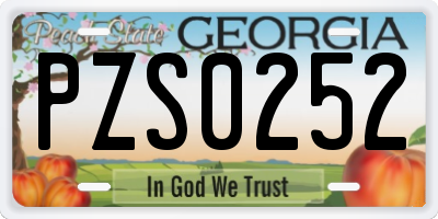 GA license plate PZS0252