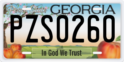 GA license plate PZS0260