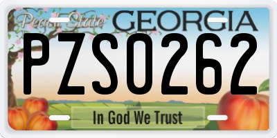 GA license plate PZS0262