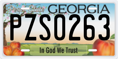 GA license plate PZS0263