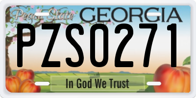 GA license plate PZS0271