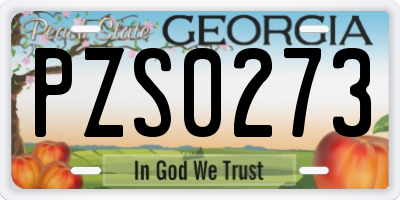 GA license plate PZS0273