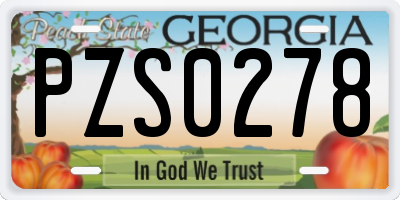 GA license plate PZS0278