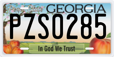 GA license plate PZS0285