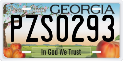 GA license plate PZS0293