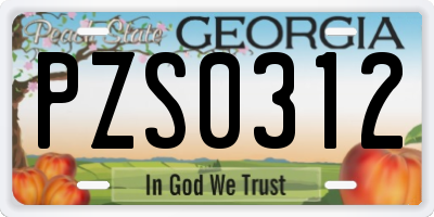 GA license plate PZS0312