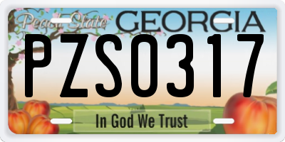GA license plate PZS0317