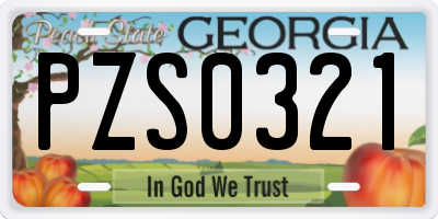 GA license plate PZS0321