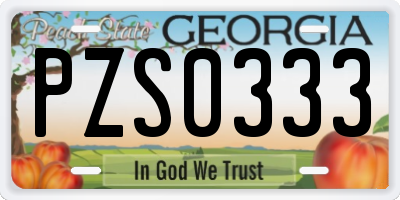GA license plate PZS0333