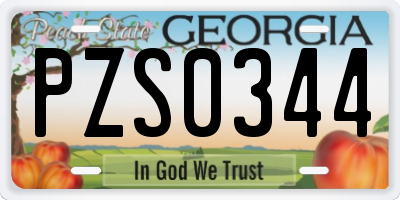 GA license plate PZS0344