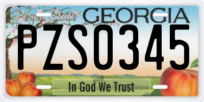 GA license plate PZS0345