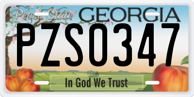 GA license plate PZS0347