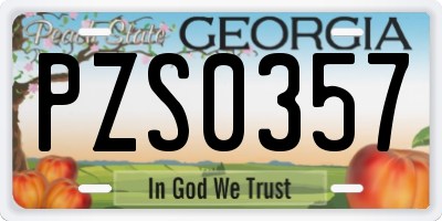 GA license plate PZS0357