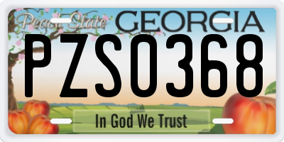 GA license plate PZS0368