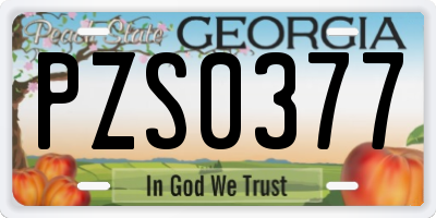 GA license plate PZS0377