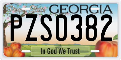GA license plate PZS0382