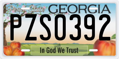 GA license plate PZS0392