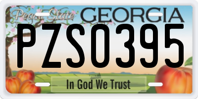 GA license plate PZS0395