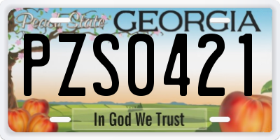 GA license plate PZS0421