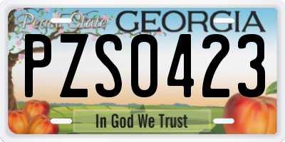 GA license plate PZS0423