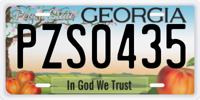 GA license plate PZS0435