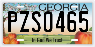 GA license plate PZS0465