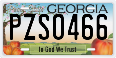 GA license plate PZS0466