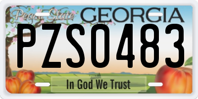 GA license plate PZS0483