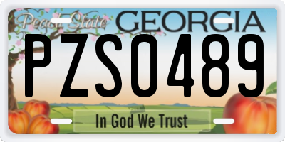 GA license plate PZS0489