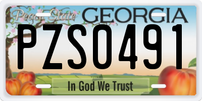 GA license plate PZS0491