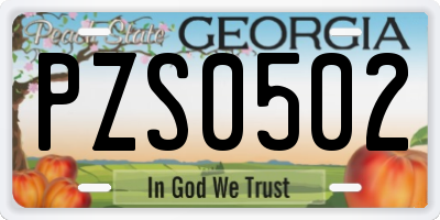 GA license plate PZS0502
