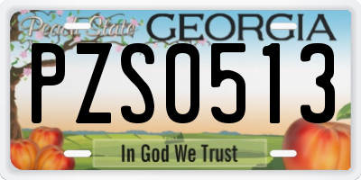 GA license plate PZS0513