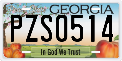 GA license plate PZS0514
